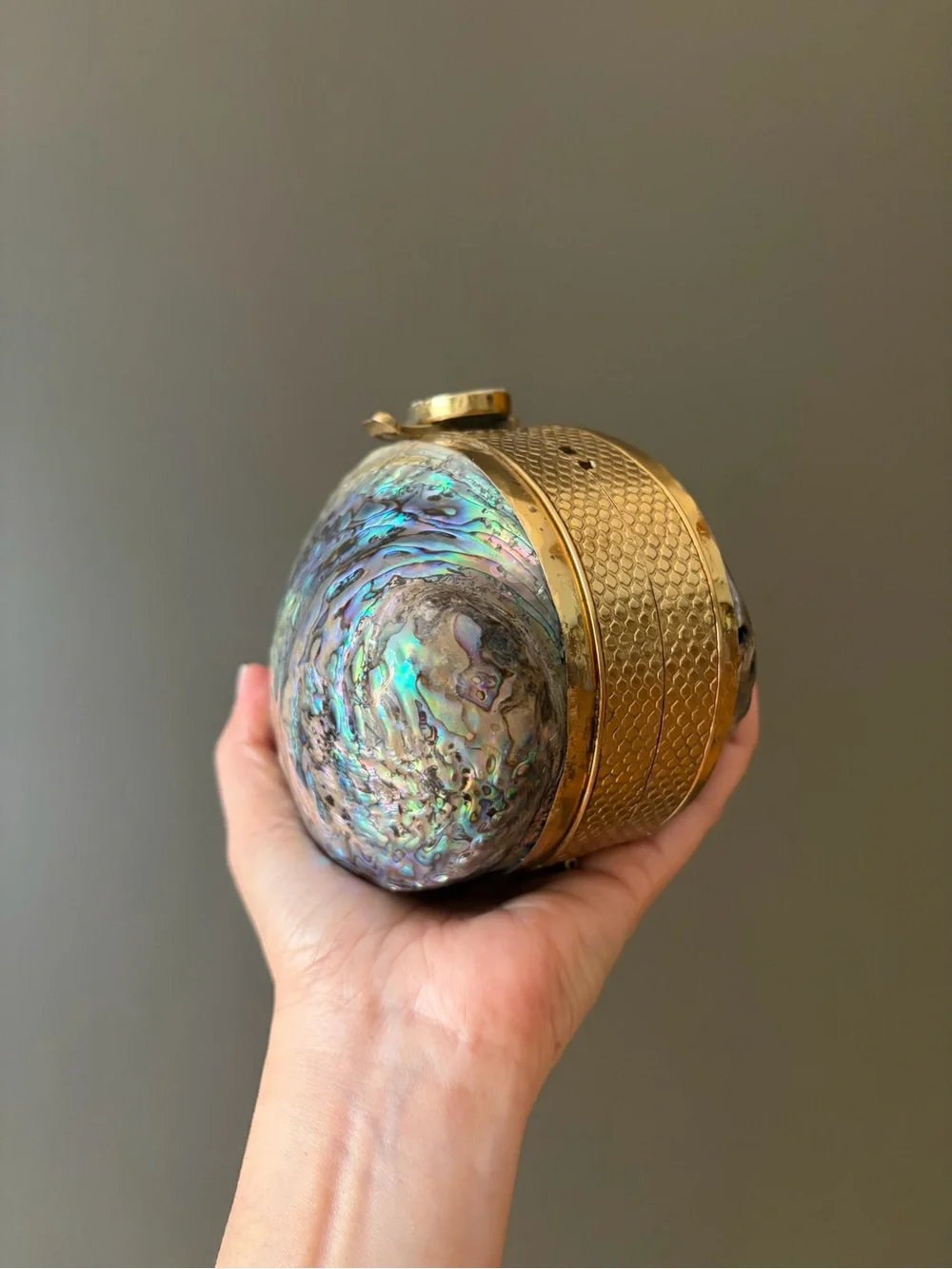 Abalone Shell Clutch Wristlet — Iridescent Blue-Green Metallic